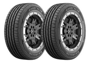 2 Neumáticos Goodyear 205/65 R15 Fortitude Índice De Velocidad H